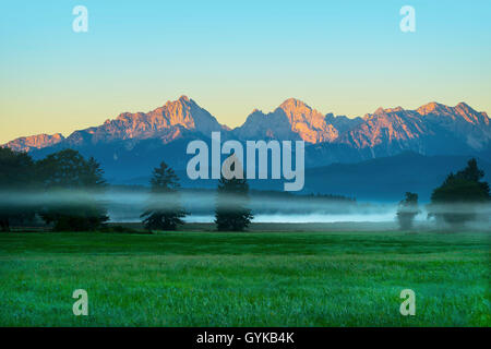 Wiesen am Bannwaldsee mit Nebel bei Sonnenaufgang, in der bachground das Tannheimer Berge, Deutschland, Bayern, Oberbayern, Oberbayern Stockfoto