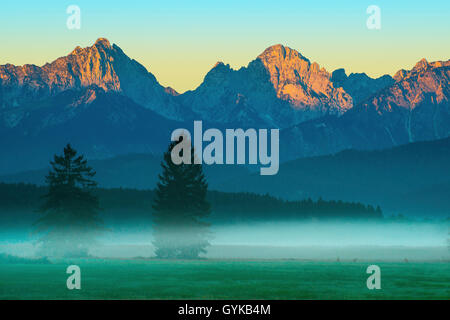 Wiesen am Bannwaldsee mit Nebel bei Sonnenaufgang, in der bachground das Tannheimer Berge, Deutschland, Bayern, Oberbayern, Oberbayern Stockfoto