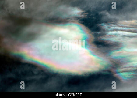 Perlmutt Wolken, Norwegen, Nordland, Majavatnet Stockfoto