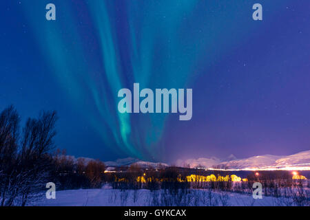 Aurora über Insel Kvaloya, Norwegen, Troms, Kvaloeya, Tromsoe Stockfoto