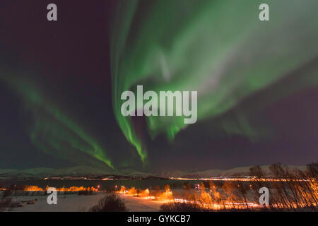 Aurora über Insel Kvaloya, Norwegen, Troms, Kvaloeya, Tromsoe Stockfoto