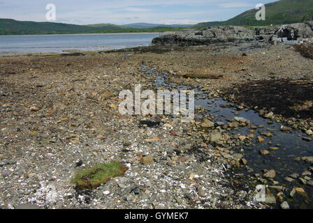 Traigh Doire Dhubhaig Loch Na Keal, Isle of Mull, Inneren Hebriden, Schottland Stockfoto