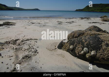 Calgary Bay, Isle of Mull, Schottland Stockfoto