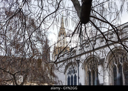 Schönen und ungewöhnlichen Blick auf Big Ben und Westminster Abby durch die Zweige eines Herbst alte Baum ohne Blätter. Stockfoto