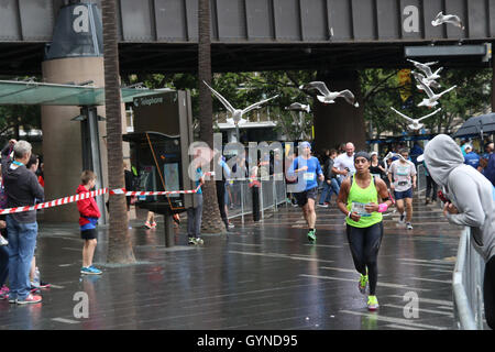 Sydney, Australien. 18. September 2016. Zehntausende Läufer nahmen an der 16. Blackmores Sydney Running Festival laufen und gehen über die Sydney Harbour Bridge und das Opernhaus. Läufer können am Marathon, half Marathon, Brückenlauf (9kms) oder familiären Volkslauf (4 km) teilzunehmen. Im Bild: Möwen fliegen über die Läufer am Circular Quay. Bildnachweis: Richard Milnes/Alamy Live-Nachrichten Stockfoto