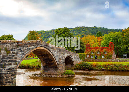 Herbst kommt an Tu Hwnt I'r Bont Teestube in Romanum an den Ufern des Flusses Conwy. Herbst beginnt die Rötung des Virginia kriechenden Efeu, der ein kräftiges Rot in dieser Zeit des Jahres verwandelt. Stockfoto