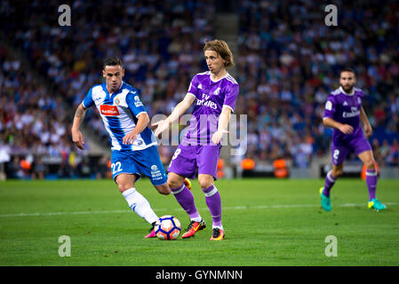 BARCELONA - SEP 18: Luka Modric spielt bei der La Liga-Match zwischen RCD Espanyol Barcelona und Real Madrid CF im RCDE Stadion am 18. September 2016 in Barcelona, Spanien. Bildnachweis: Christian Bertrand/Alamy Live-Nachrichten Stockfoto