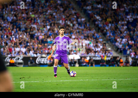 BARCELONA - SEP 18: Marco Asensio spielt bei der La Liga-Match zwischen RCD Espanyol Barcelona und Real Madrid CF im RCDE Stadion am 18. September 2016 in Barcelona, Spanien. Bildnachweis: Christian Bertrand/Alamy Live-Nachrichten Stockfoto