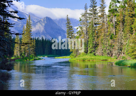 Alpine Lake Josephine unterwegs Grinnell Gletscher im Glacier-Nationalpark im Sommer Stockfoto