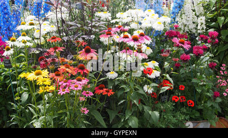 Pflanzung von gemischten Blumen, Bestandteil der Blütenpracht bei der Royal Horticultural Flower Show an Tatton Park im Jahr 2016 in Cheshire. Stockfoto