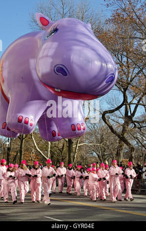 Ein Team von Handler führt den Happy Hippo-Ballon, Central Park West in die Macy's Thanksgiving Day Parade in New York City. Stockfoto