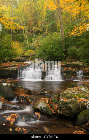 Blick auf Straße Zinke Stream & kleine Wasserfälle aus Schornstein Tops Trail, Herbst, Great Smoky Mountain National Park Tennessee USA Stockfoto