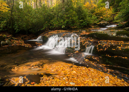 Blick auf Straße Zinke Stream & kleine Wasserfälle aus Schornstein Tops Trail, Herbst, Great Smoky Mountain National Park Tennessee USA Stockfoto