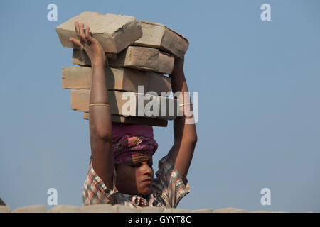 Weibliche Arbeiter arbeitet an der Ziegelei Amin Bazar. Dhaka, Bangladesch. Stockfoto