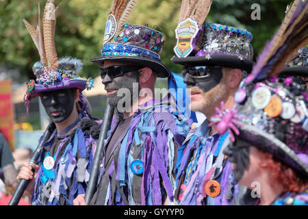 Die Widders Morris Dancers bei Weyfest Musik Festival, Farnham, Surrey, UK. 20. August 2016. Stockfoto