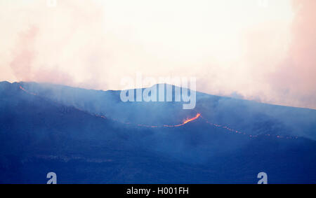 Brand im Kompass Berge für die Vegetation control, Südafrika, Eastern Cape, Camdeboo National Park, Graaff Reinet Stockfoto