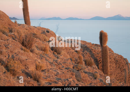 Sonnenaufgang über der Salar de Uyuni zur Isla Incahuasi, Südwesten Boliviens Stockfoto