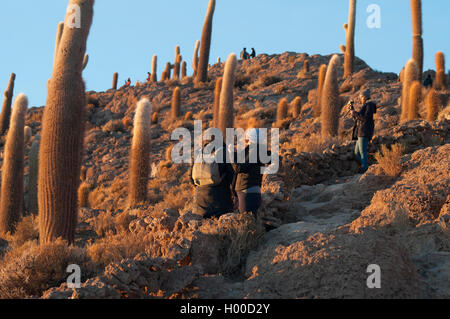 Sonnenaufgang über der Salar de Uyuni zur Isla Incahuasi, Südwesten Boliviens Stockfoto