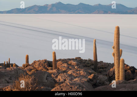 Sonnenaufgang über der Salar de Uyuni zur Isla Incahuasi, Südwesten Boliviens Stockfoto