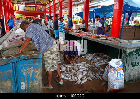 Frische Fische zum Verkauf am Sir Selwyn Selwyn-Clarke Fischmarkt in Vicoria, Seychellen, Mahe Stockfoto