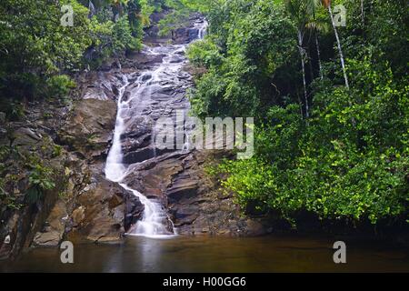 Sauzier Waterfall, Seychellen, Mahe Stockfoto