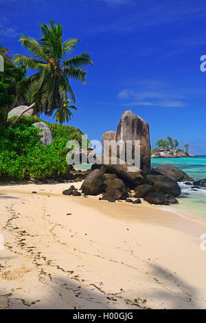 Kokospalmen und Granit Felsen am Traumstrand Anse Royal Mahe, Seychellen, Stockfoto