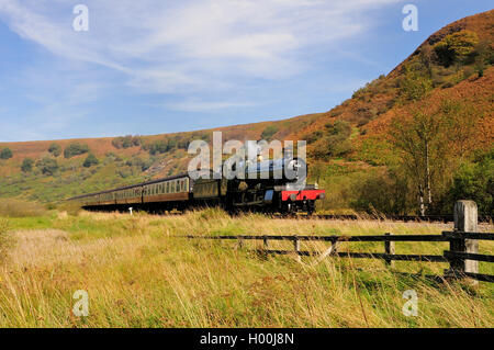 Dampfzug geschleppten GWR Lok Nr. 7822 'Foxcote Manor"Newtondale auf der North Yorkshire Moors Railway auf der Durchreise. Stockfoto