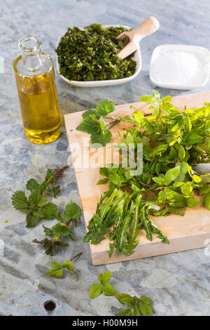 Ein pesto von Bischof ┤ s Unkraut, Holunder, Löwenzahn und Brennnessel, Deutschland Stockfoto