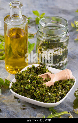 Ein pesto von Bischof ┤ s Unkraut, Holunder, Löwenzahn und Brennnessel, Deutschland Stockfoto