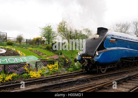 LNER Class A4 Pacific No 4464 (60019) 'Bittern' verlässt Grosmont mit der Abfahrt 1530 nach Pickering. 4. Mai 2012. Stockfoto