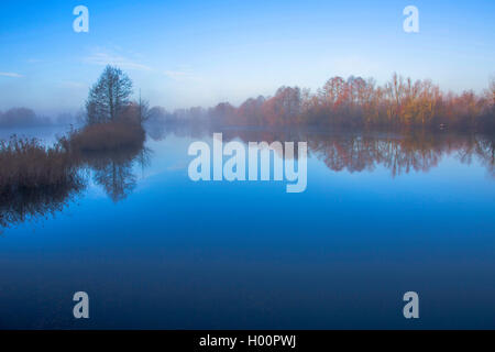 Donau in der Nähe von Straubing am Morgen, Deutschland, Bayern, Niederbayern, Oberbayern, Straubing Stockfoto