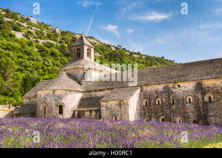 Schöne Landschaft Lavendel Feld und einem alten Kloster Abtei Abbaye Notre-Dame De Senanque In Vaucluse, Frankreich Stockfoto