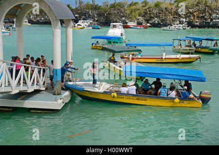 Hafen mit den Landungsbrücken und Kai für Kreuzfahrtschiffe und Bootsausflüge, Ecuador, Galapagos Inseln, Santa Cruz, Puerto Ayora Stockfoto