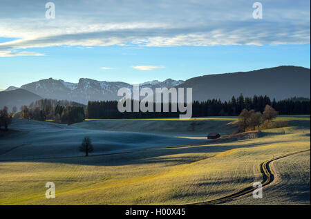 Blick auf die Ammergauer Alpen im Herbst, Deutschland, Bayern, Wildsteig Stockfoto