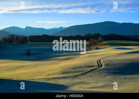 Blick auf die Ammergauer Alpen im Herbst, Deutschland, Bayern, Wildsteig Stockfoto
