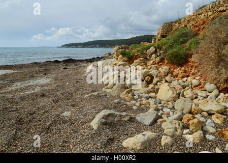 Küste bedeckt mit trockenen pondweeds in der Nähe von Santo, Spanien, Balearen, Menorca Santo Tomas Stockfoto