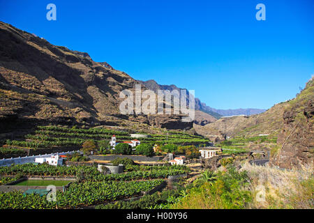 Caldera in der Nähe von Puerto de Tazacorte, Kanarische Inseln, La Palma Stockfoto