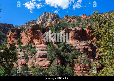 Oak Creek Canyon, USA, Arizona, Sedona Stockfoto