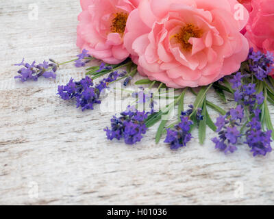 Rosa lockig offen Rosen und Lavendel Provence auf dem weißen groben hölzernen Hintergrund Stockfoto