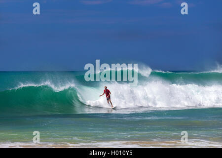 HIKKADUWA, SRI LANKA - 24. Februar 2014: Surfer auf einer Welle am Strand von Hikkaduwa, international bekanntes Touristenziel Stockfoto