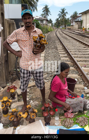 HIKKADUWA, SRI LANKA - 9. März 2014: lokale Straße Verkäufer paar Kokosnuss Dekorationen von der Eisenbahn zu verkaufen. Der Sonntagsmarkt Stockfoto