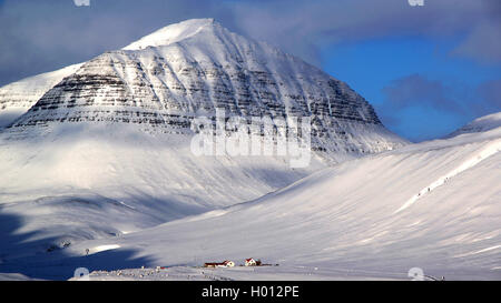 Winterlandschaft auf Island, Island Stockfoto