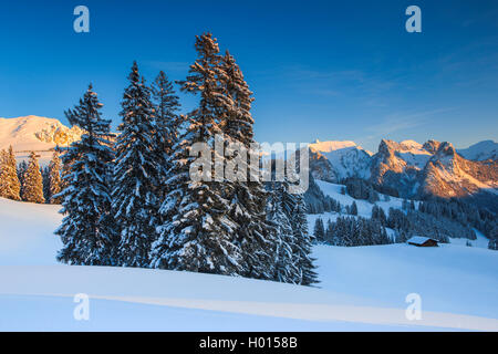 Blick vom Jaunpass auf das Simmental mit Mittagflue - 1866 m, Schweiz, Berner Oberland Stockfoto