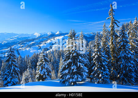 Blick vom Jaunpass auf das Simmental im Morgen, Schweiz, Berner Oberland Stockfoto