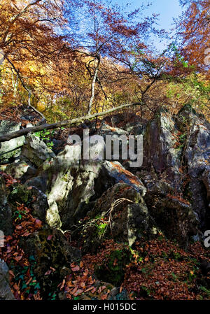 Felsenmeer im Herbst, Deutschland, Nordrhein-Westfalen, Sauerland, Hemer Stockfoto