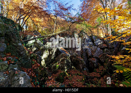 Felsenmeer im Herbst, Deutschland, Nordrhein-Westfalen, Sauerland, Hemer Stockfoto