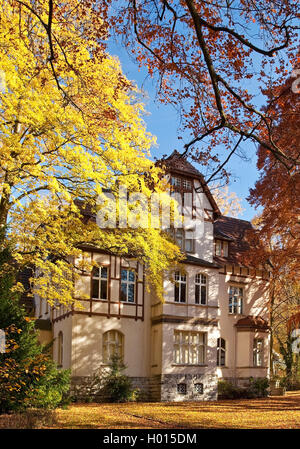 Museum von felsenmeer in der Villa Grah im Herbst, Deutschland, Nordrhein-Westfalen, Sauerland, Hemer Stockfoto