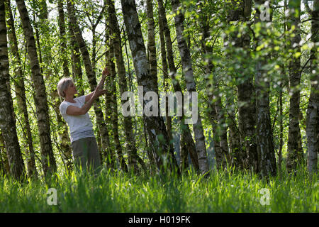Gemeinsame Birke, Silver Birch, weiße Birke, Birke (Betula pendula, Betula Alba), Frau sammeln junge birkenblätter, Deutschland Stockfoto