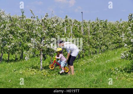 Apfelbaum (Malus Domestica), Frau mit kleinen Mädchen in ein blühender Apfelbaum Plantage, Deutschland, Niedersachsen, Altes Land Stockfoto