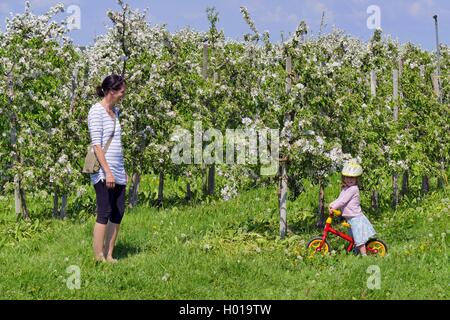 Apfelbaum (Malus Domestica), Frau mit Mädchen in einer blühender Apfelbaum Plantage, Deutschland, Niedersachsen, Altes Land Stockfoto